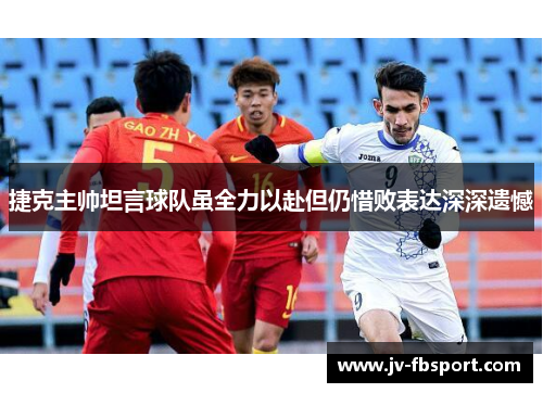 捷克主帅坦言球队虽全力以赴但仍惜败表达深深遗憾