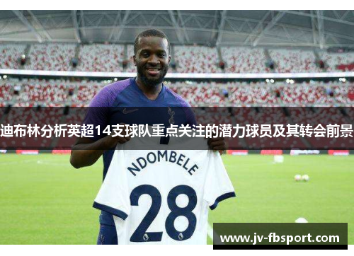 迪布林分析英超14支球队重点关注的潜力球员及其转会前景