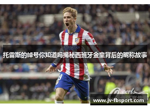 托雷斯的绰号你知道吗揭秘西班牙金童背后的昵称故事 托雷斯的绰号你知道吗揭秘西班牙金童背后的昵称故事