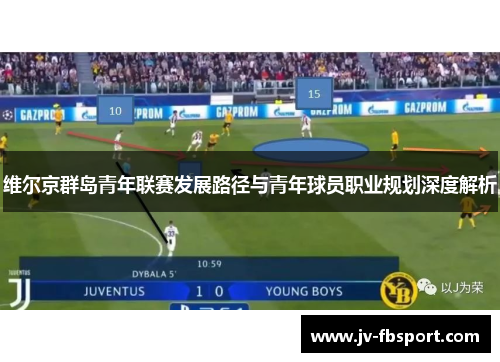 维尔京群岛青年联赛发展路径与青年球员职业规划深度解析